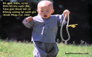 Làm sao tránh khỏi tâm sân hận